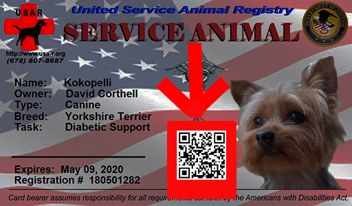 Get a NEW ID Card
